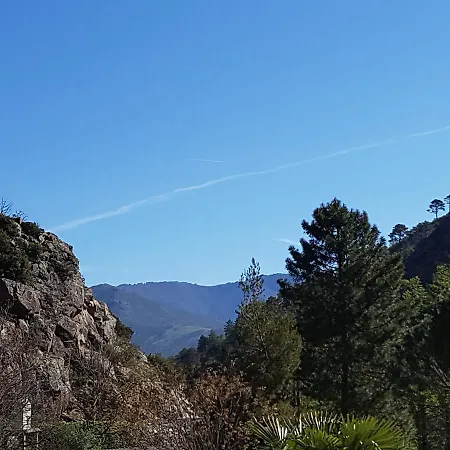 De La Restonica * Corte (Corsica)