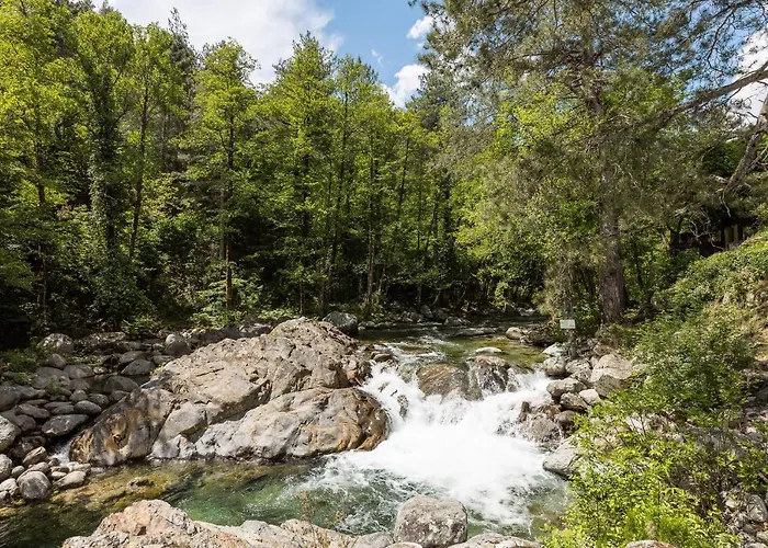 De La Restonica מלון *